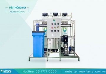 Hệ Thống Máy Lọc Nước RO Công Nghiệp 250 Lít/Giờ