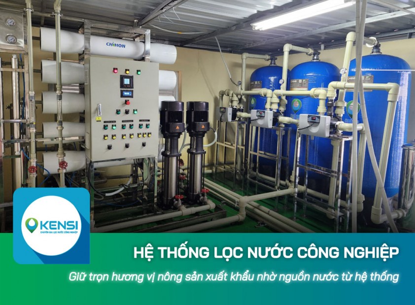 Bí quyết giữ trọn hương vị nông sản xuất khẩu nhờ nguồn nước từ hệ thống lọc nước công nghiệp