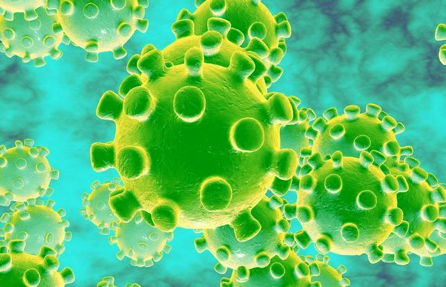 Virus là mối nguy hại đối với sức khỏe con người