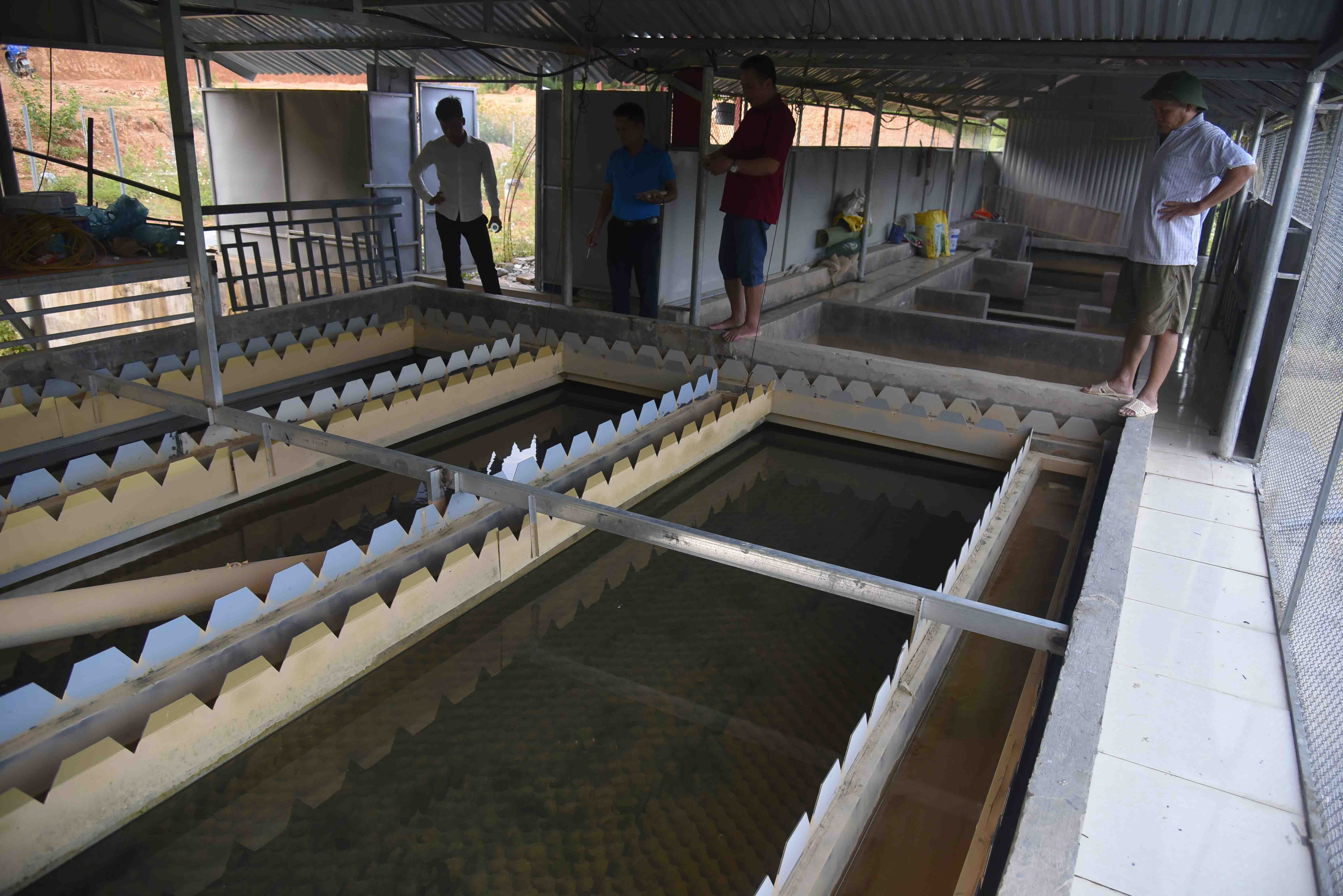nghiên cứu cải tạo nhà máy nước mini Bảo Lạc Cao Bằng 